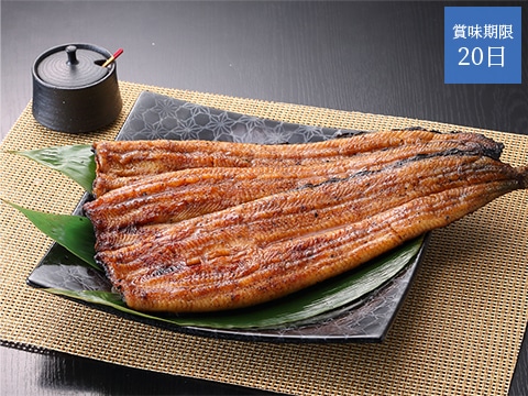 ギフト_うなぎの井口 蒲焼セット 大・3本