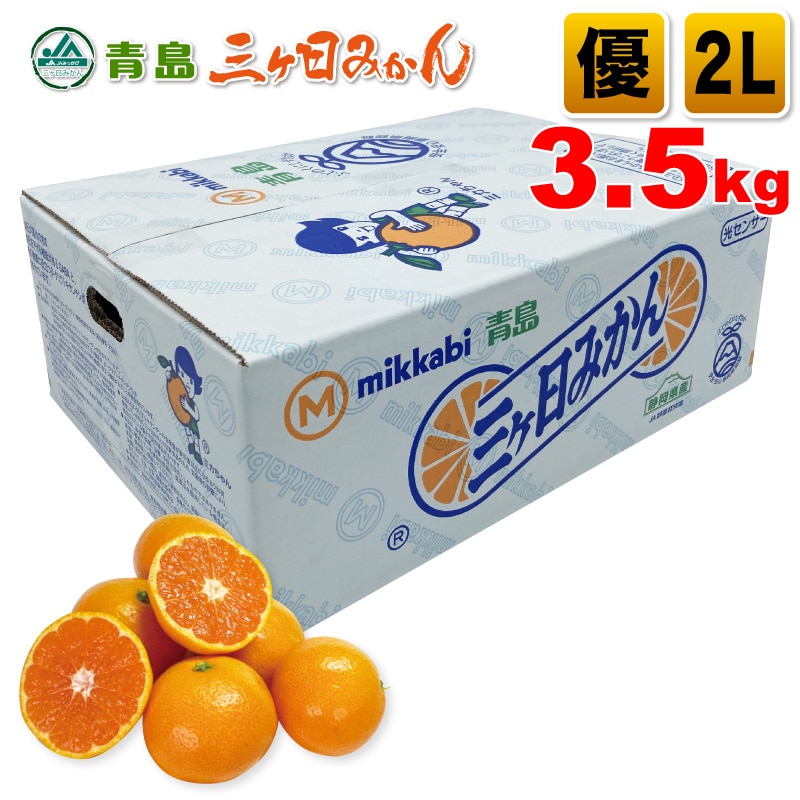 三ヶ日青島みかん 優品 2Lサイズ 3.5kg