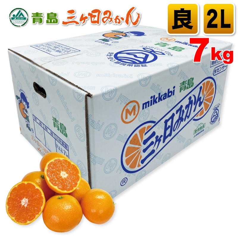 三ヶ日青島みかん 良品 2Lサイズ 7kg