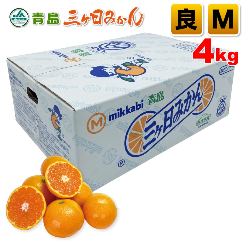 三ヶ日青島みかん 良品 Mサイズ 4kg