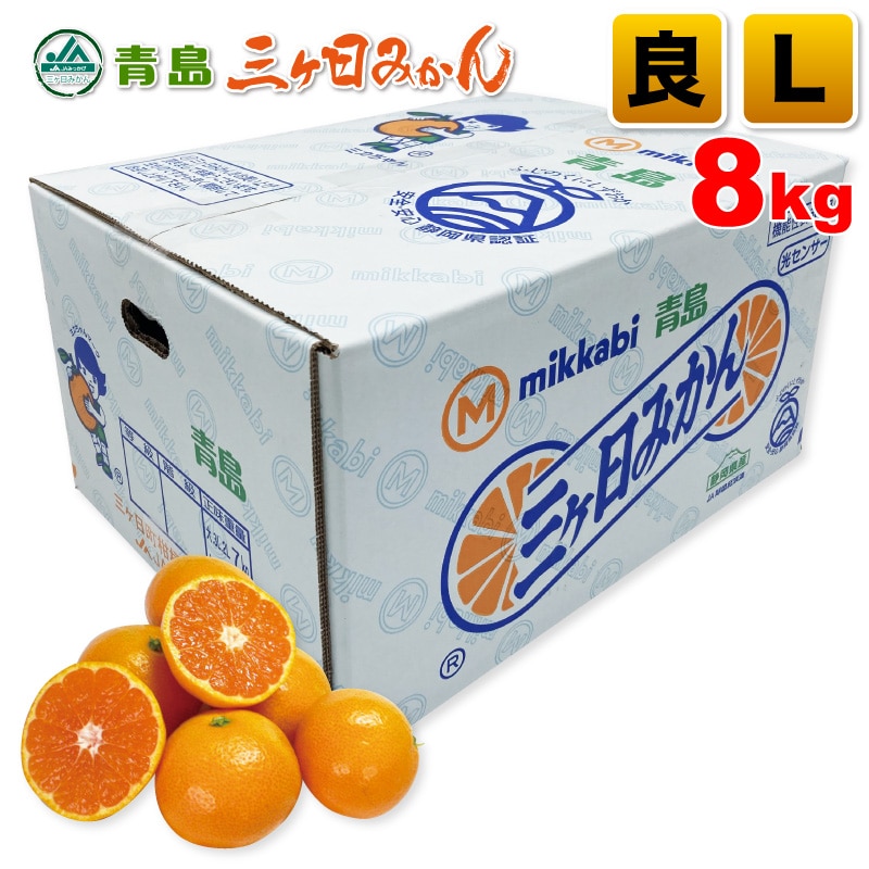 三ヶ日青島みかん 良品 Lサイズ 8kg