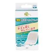 P-KISS10/20 | あなたのそばにMAX!