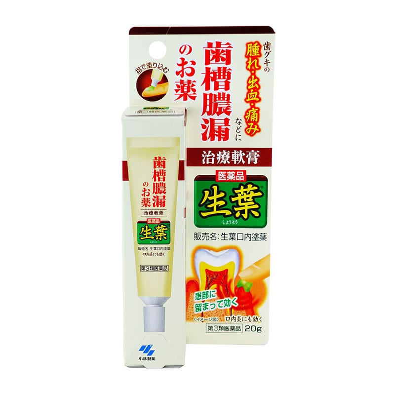 【第3類医薬品】 小林製薬 生葉口内塗薬 20g ★