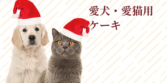 愛犬・愛猫用ケーキ
