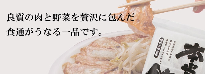 本当においしい餃子 濱松（野菜餃子） 30コ