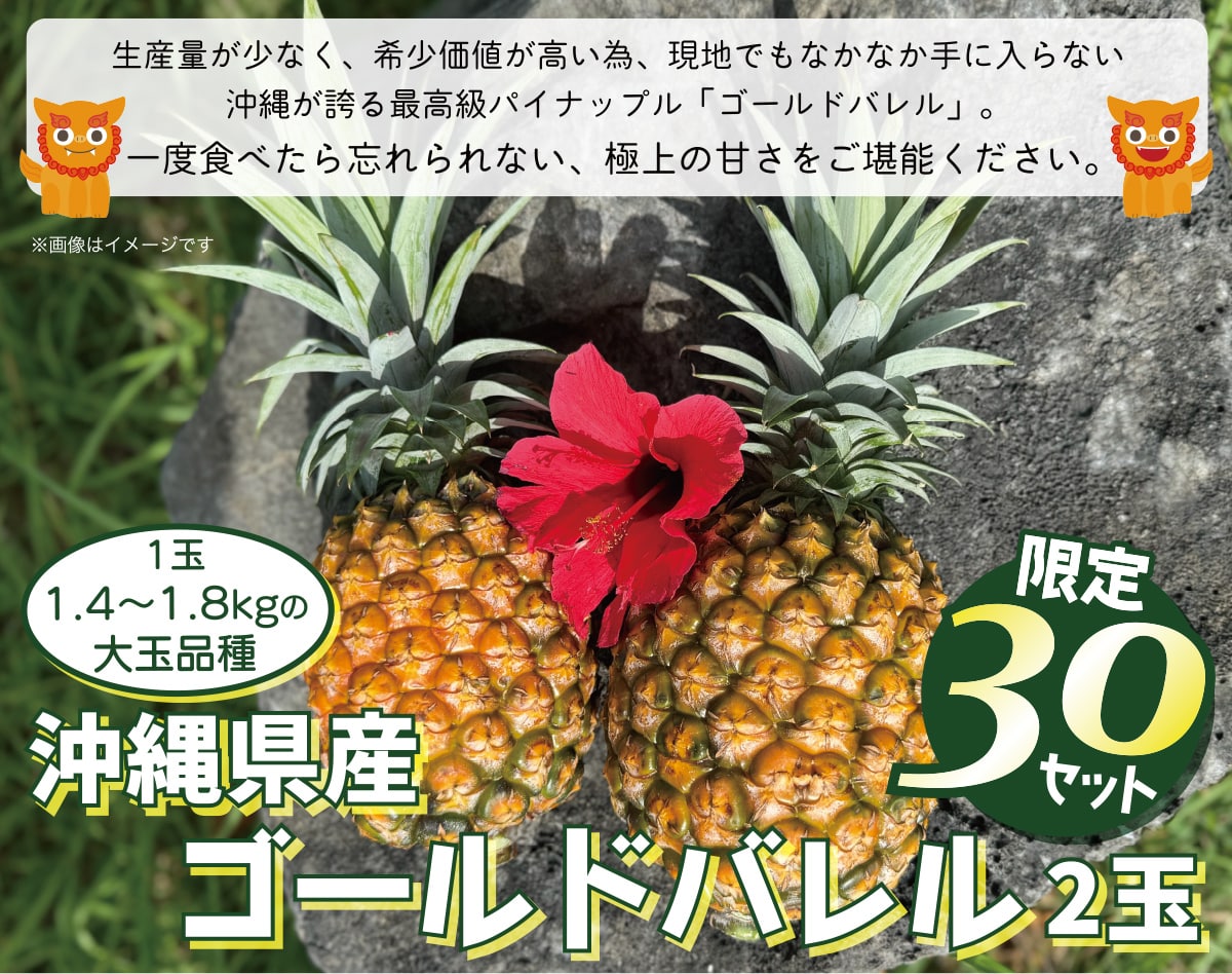 沖縄県産ゴールドバレル 2玉