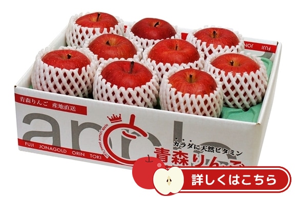 青森県産 産直りんご（サンふじ・贈答用）約3kg