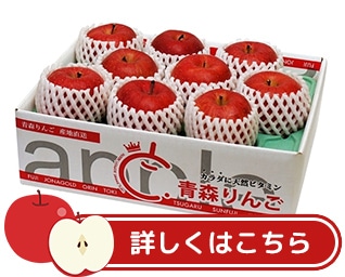 青森県産 産直りんご（サンふじ・贈答用）約3kg