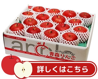 青森県産 産直りんご（サンふじ・贈答用）約5kg