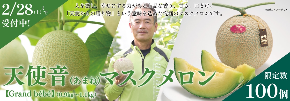 天使音マスクメロン【Grand bebe】