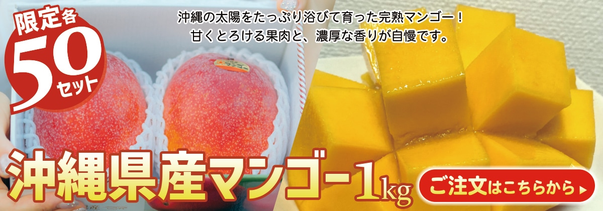 沖縄県産マンゴー1kg（2～3玉）